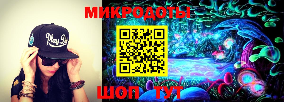 A PVP Ивантеевка